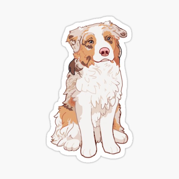 Australian Shepherd Merch Gifts for Sale Redbubble