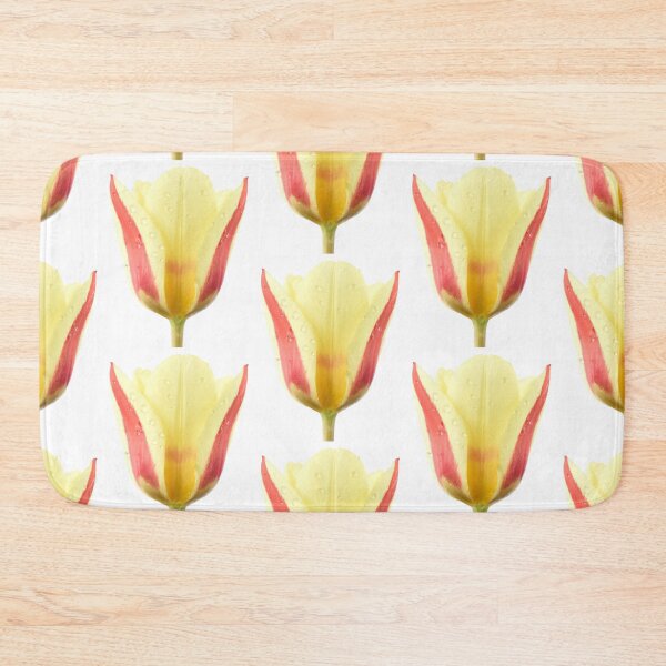 Item preview, Tulipa 'Gluck'  Kaufmanniana  Tulip designed and sold by Chris Burrows.