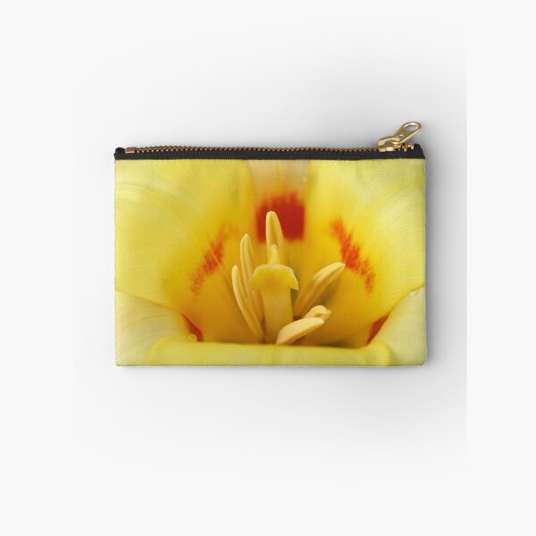 Artikelvorschau, Tulipa 'Gluck' Kaufmanniana Tulpe entworfen und verkauft von Chris Burrows.