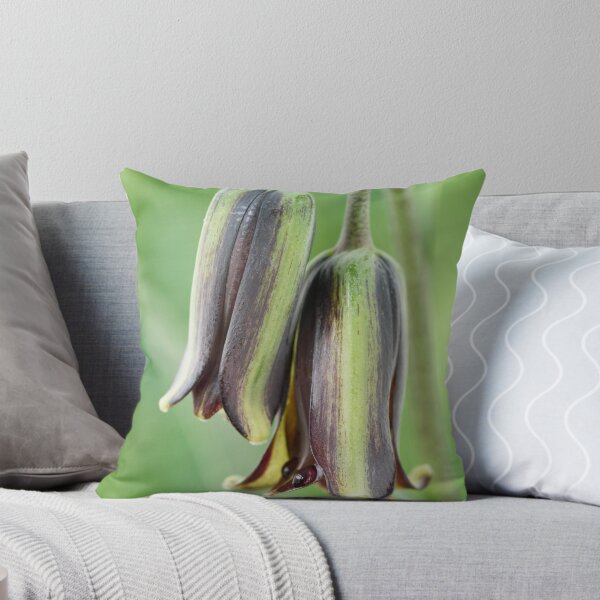 Item preview, Fritillaria elwesii  Fritillary  designed and sold by Chris Burrows.