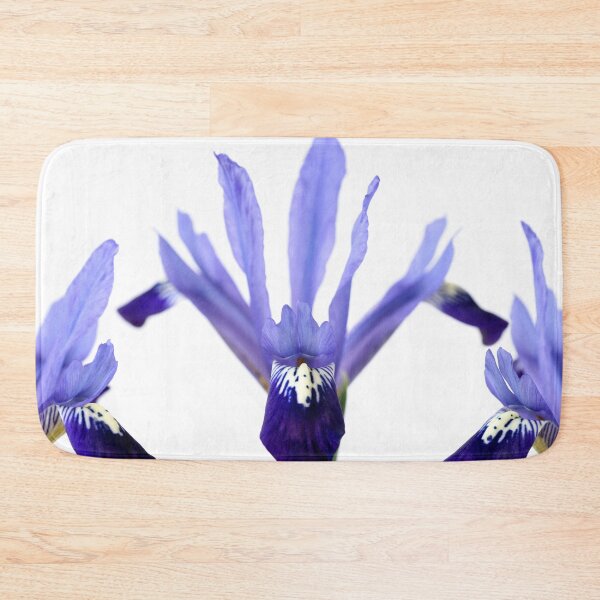 Item preview, Iris  'Fabiola'  Reticulata   designed and sold by Chris Burrows.
