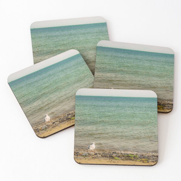 Item preview, Seagull by the Sea designed and sold by KatTalbolt.