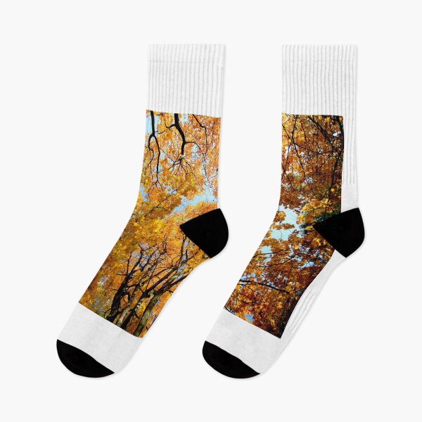 Item preview, autumn trees in forest designed and sold by olena2552.