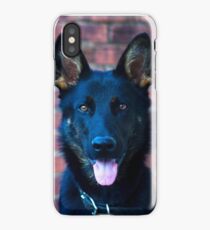 Blue Sheppy iPhone Case/Skin