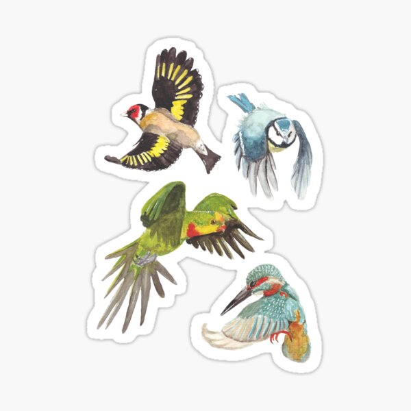 Oiseaux en vol Sticker