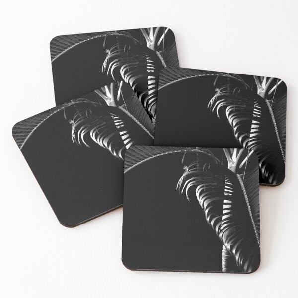Item preview, Daintree National Park.....Wet Tropics designed and sold by Imi Koetz.