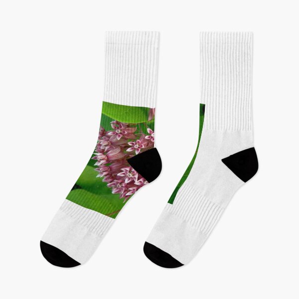 Item preview, Pink Milkweed designed and sold by Shulie1.