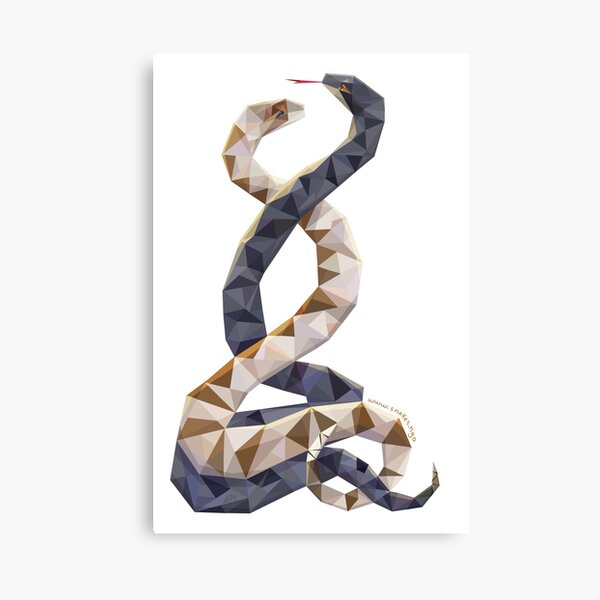 Dancing Snakes by Emma Hsiao Canvas Print