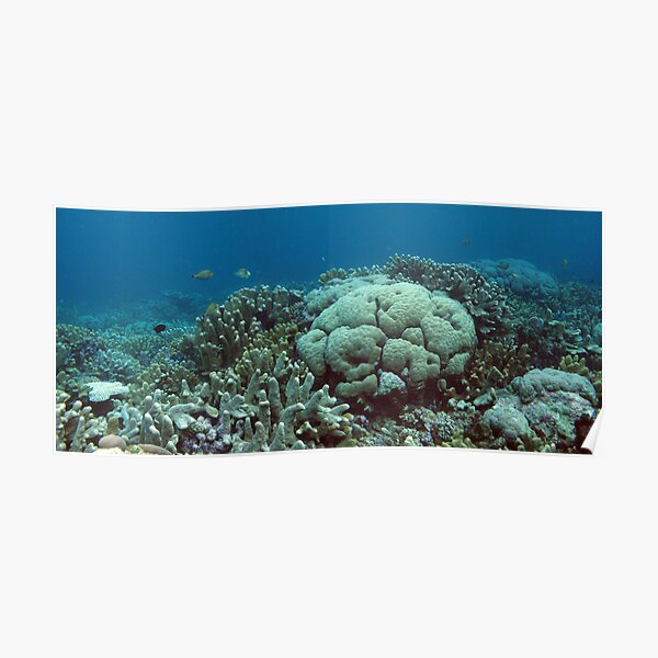 Binusa Point I Poster
