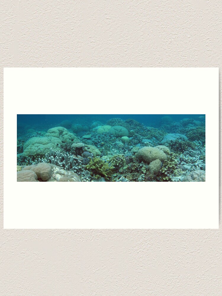 Alternate view of Binusa Point III Art Print