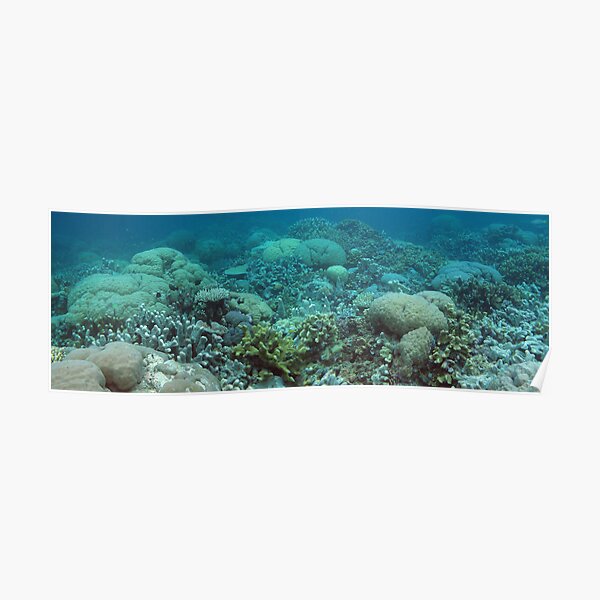 Binusa Point III Poster