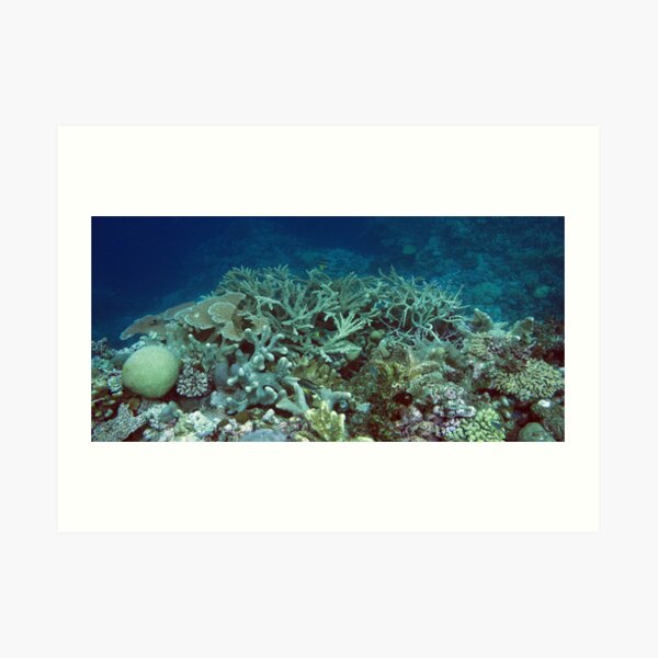 Binusa Point IV Art Print