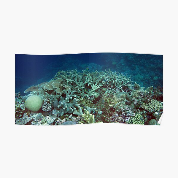 Binusa Point IV Poster