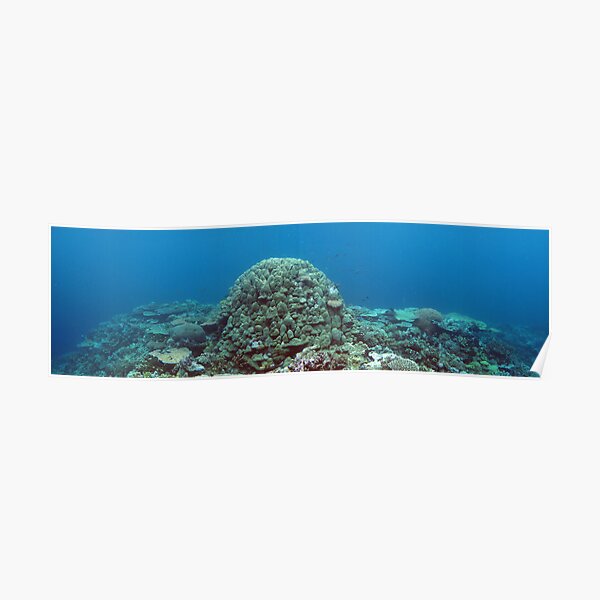 Binusa Point V Poster