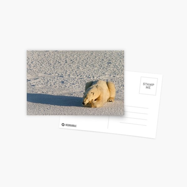 Wish I may, Wish I might Postcard