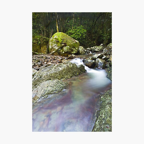 That Secret Place... Photographic Print