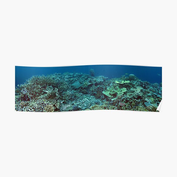 Binusa Point VI Poster