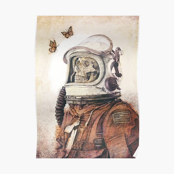 Butterflies in Space Poster