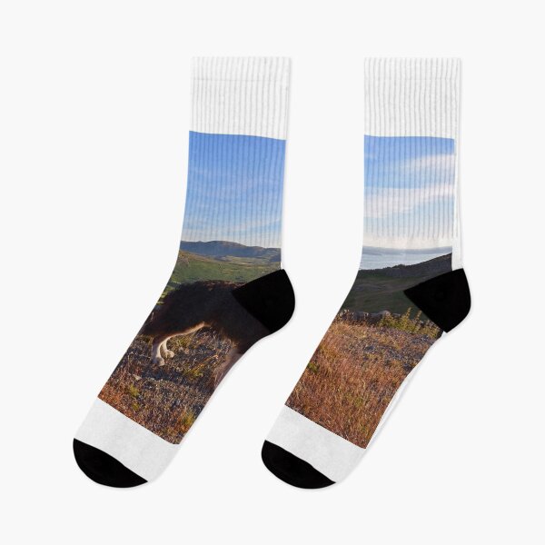 Item preview, Views with Laddie designed and sold by Michael Haslam.