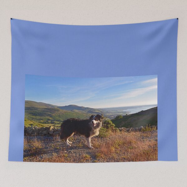 Item preview, Views with Laddie designed and sold by Michael Haslam.
