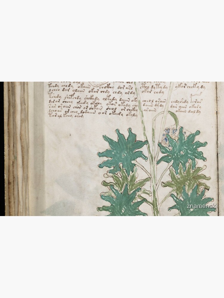 Voynich Manuscript. Illustrated codex hand-written in an unknown writing system by znamenski