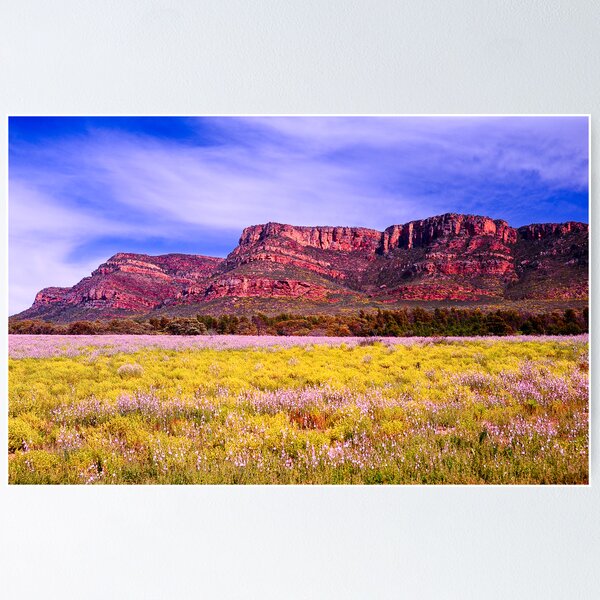 Item preview, Flinders and Flowers designed and sold by Gwynne Brennan.