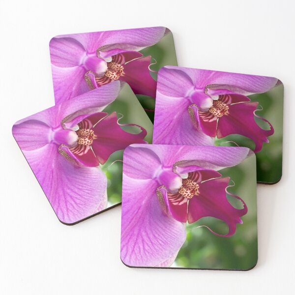 Artikelvorschau, Phalaenopsis-Orchidee entworfen und verkauft von Art in Nature.
