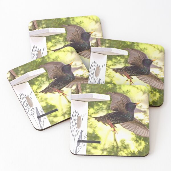 Item preview, STARLING - My new Tenant. designed and sold by Roy  Massicks.