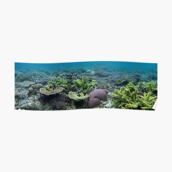 Refuge Island Poster