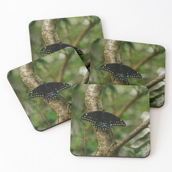 Item preview, Female Black Swallowtail designed and sold by emilywayland.