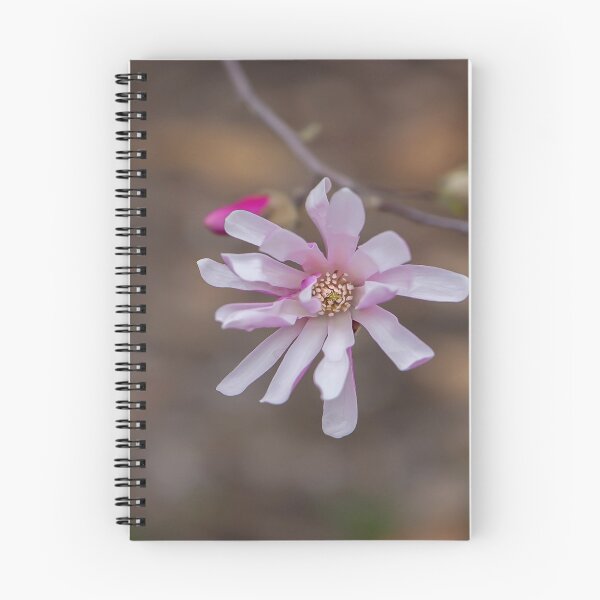 Artikelvorschau, Champaign Magnolia entworfen und verkauft von Thefickleflower.