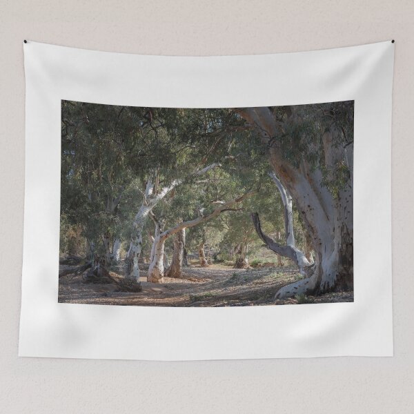 Item preview, Sun lit Redgums designed and sold by sapics.