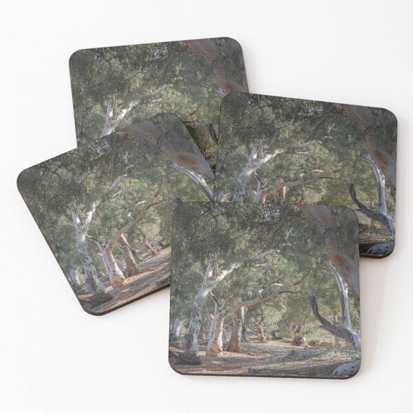 Item preview, Sun lit Redgums designed and sold by sapics.