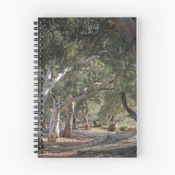 Item preview, Sun lit Redgums designed and sold by sapics.