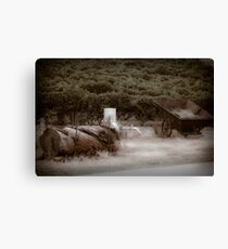 winery Canvas Print