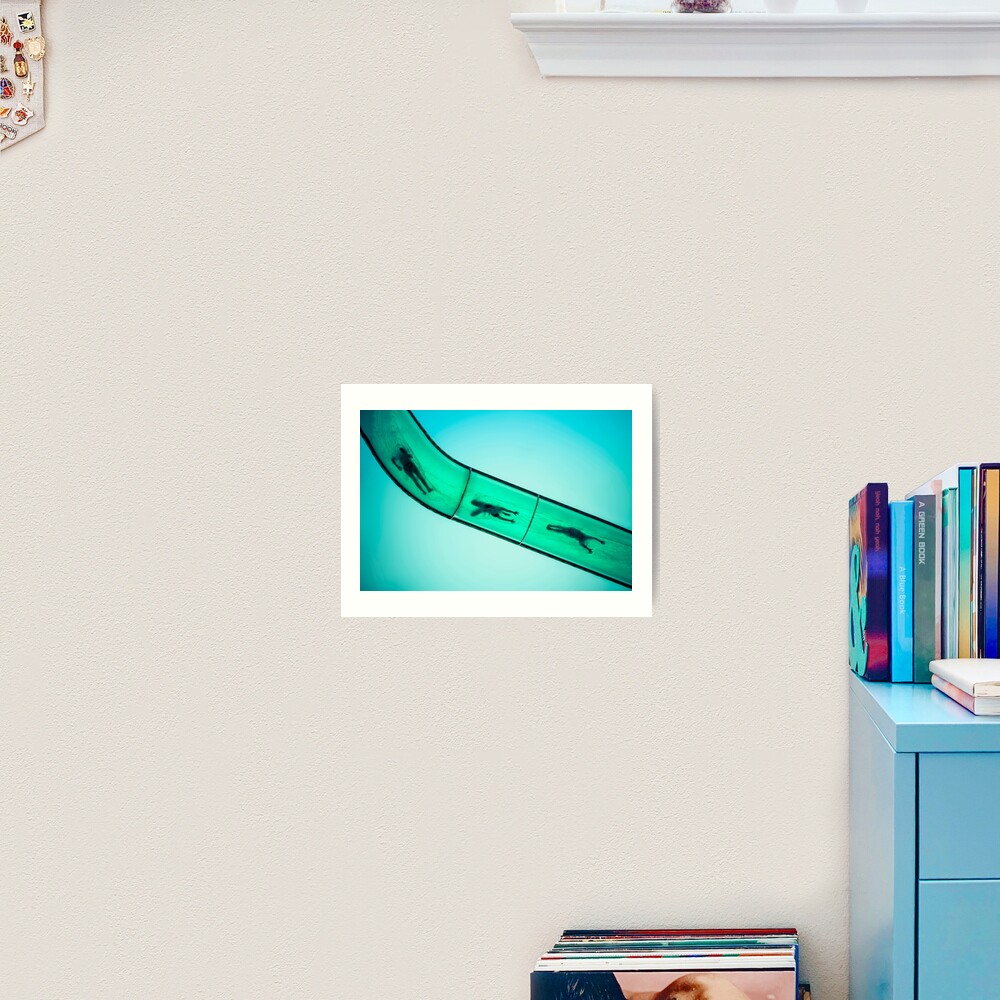 Sliding into Summer Art Print