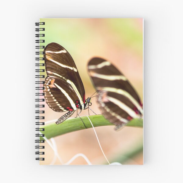 Item preview, Two Zebra Butterflies designed and sold by Ollivrosa.