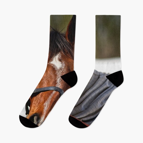 Item preview, Animal Portrait - Horse (3) designed and sold by Wolf Sverak Photography.