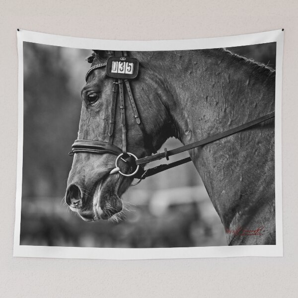 Item preview, Animal Portrait - Horse (4) designed and sold by Wolf Sverak Photography.