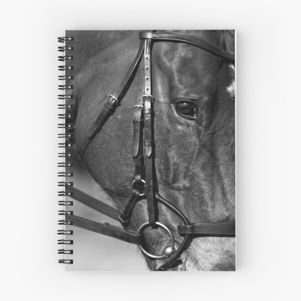 Item preview, Animal Portrait - Horse (5) designed and sold by Wolf Sverak Photography.