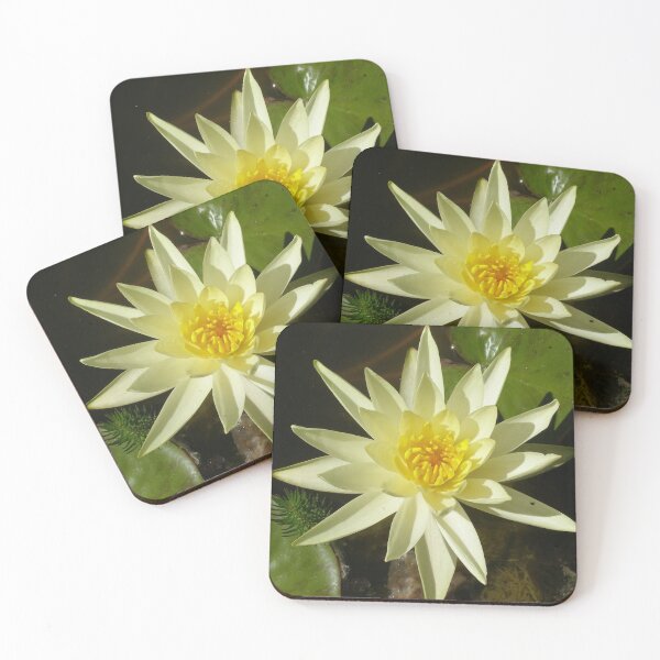 Item preview, Beautiful Yellow Water Lily on the Fishpond.  designed and sold by RitaBlom.