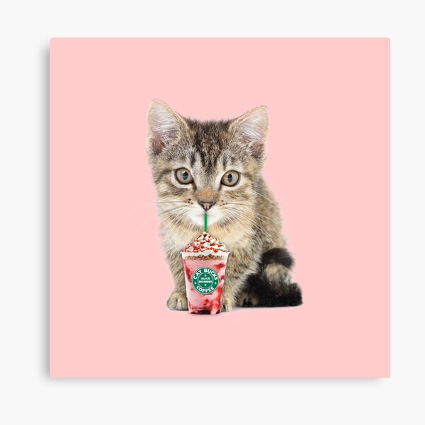 Sweet cat by Alice Monber Canvas Print