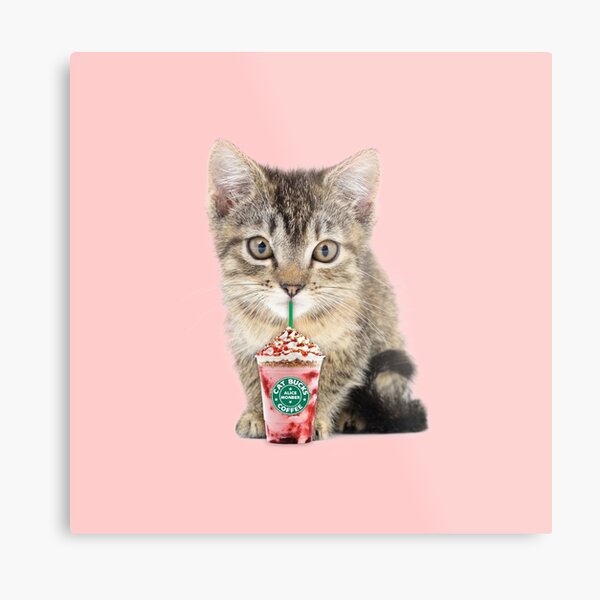 Sweet cat by Alice Monber Metal Print
