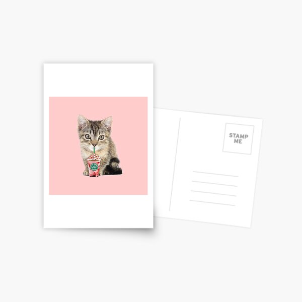 Sweet cat by Alice Monber Postcard