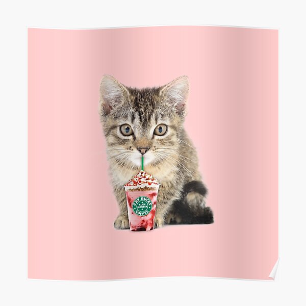 Sweet cat by Alice Monber Poster