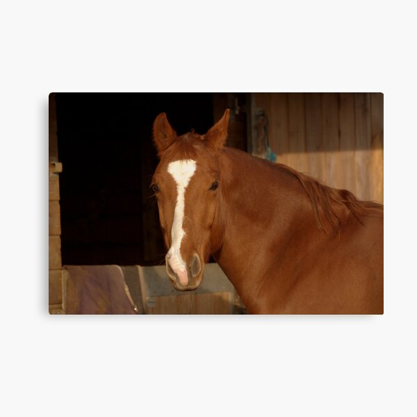 Rebel Canvas Print