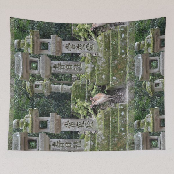 Item preview, Nara, Japan designed and sold by E-Maniak.