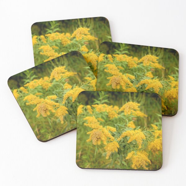 Item preview, Golden  Days designed and sold by LynyrdSky.