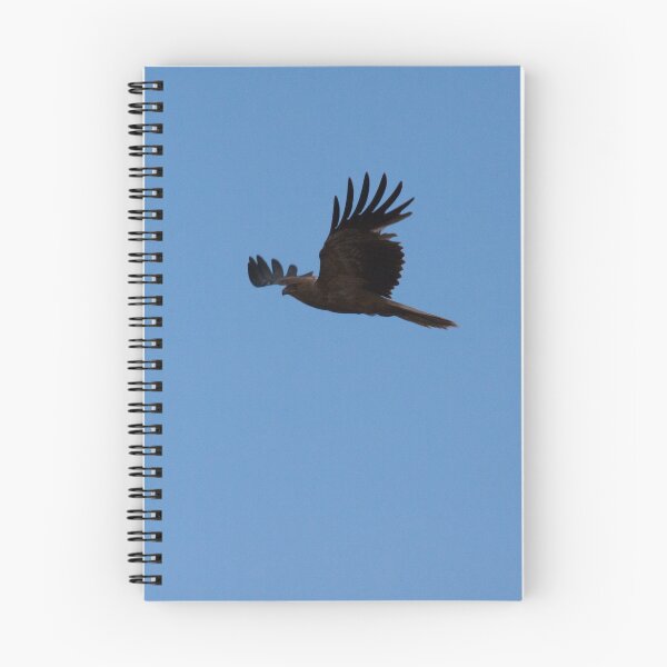 Item preview, Whistling Kite designed and sold by inthewild.