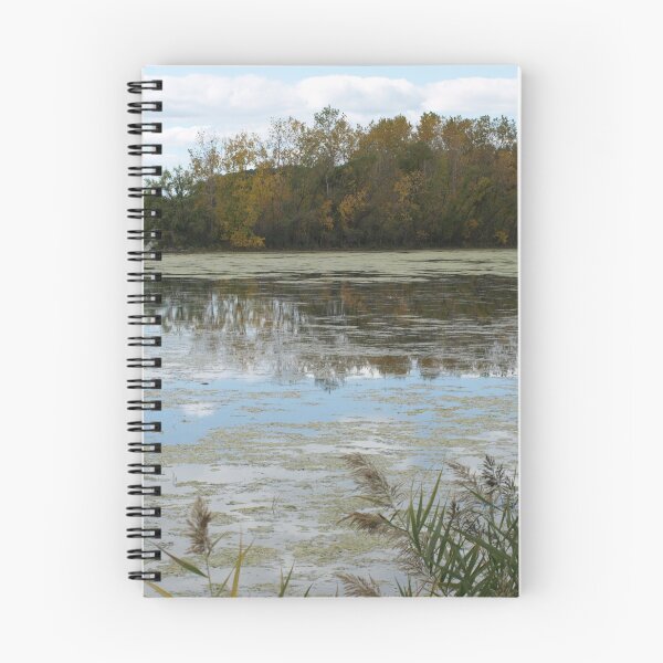 Item preview, Pond-ering designed and sold by Barry W  King.